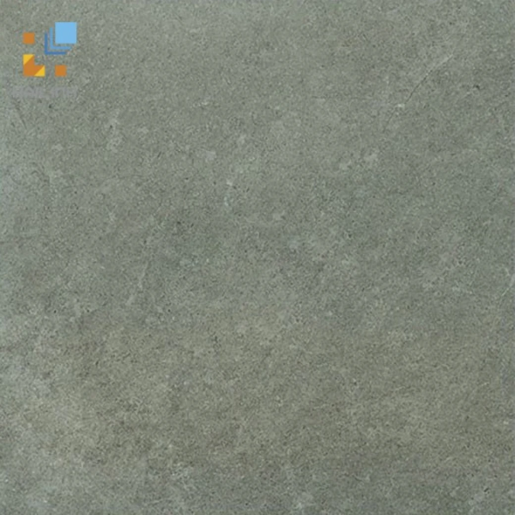 gach viglacera platinum pt 20 g 203