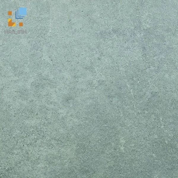 Gạch Viglacera Platinum PT 20-G603