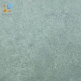 Gạch Viglacera Platinum PT 20-G603 1
