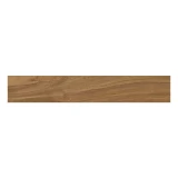 Gạch ốp Lát Viglacera PT-21206 4