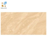 Gạch Viglacera SH-GP4804 1