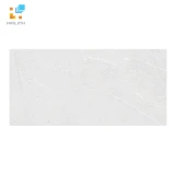 Gạch Viglacera SH-GP4805 vân đá xám 1