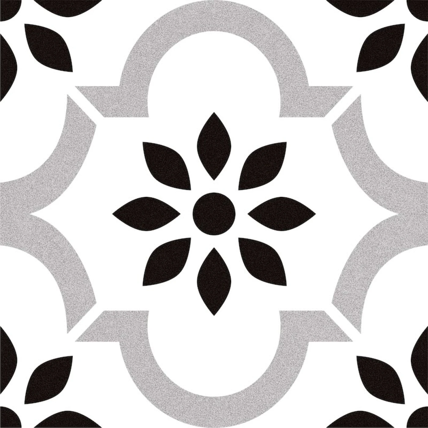 h s204