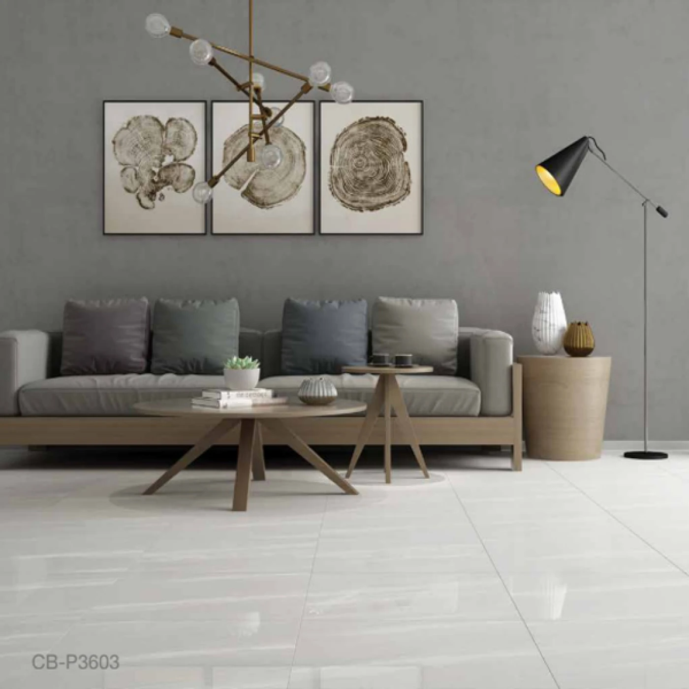 phong mau gach platinum cb p3603