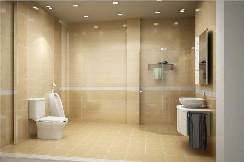 phong mau gach viglacera kt3615