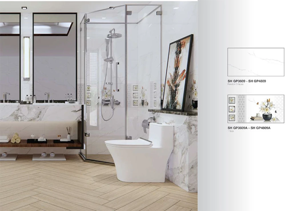 phong mau gach viglacera sh gp3609 sh gp4809 sh gp3609 sh gp4809a