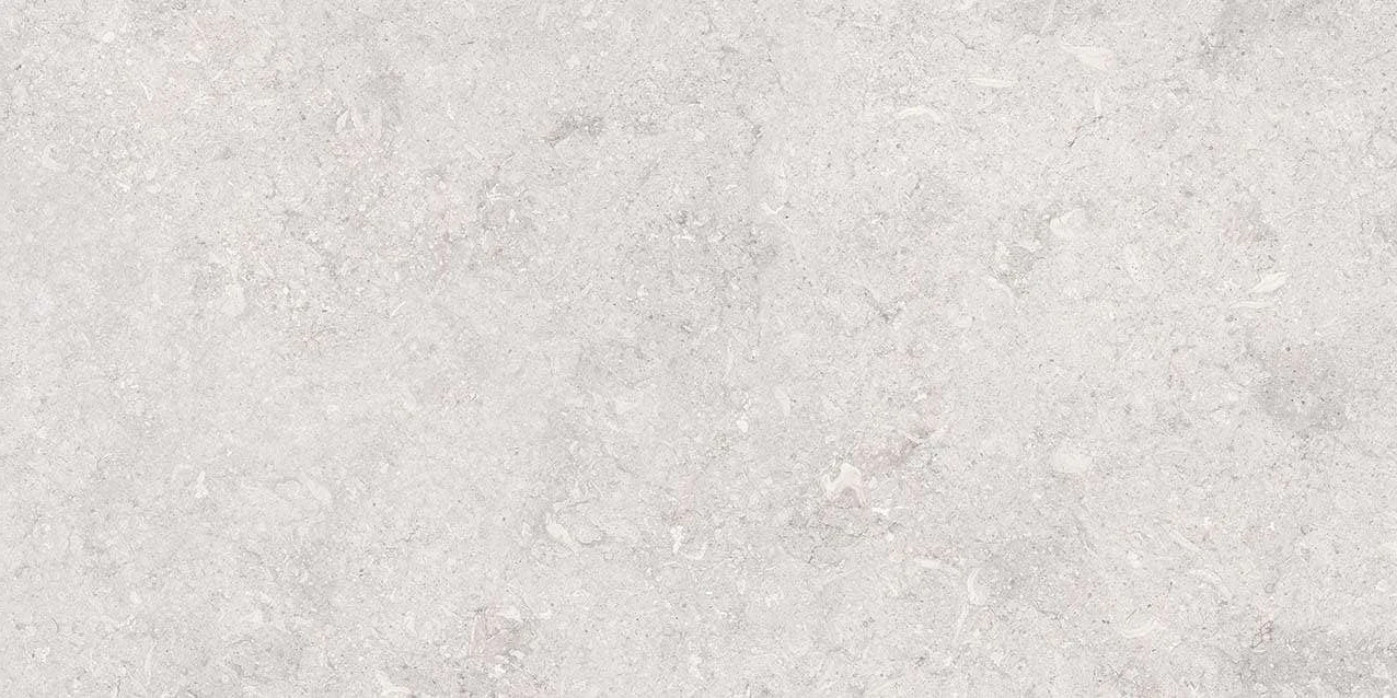 VI3 GM81601