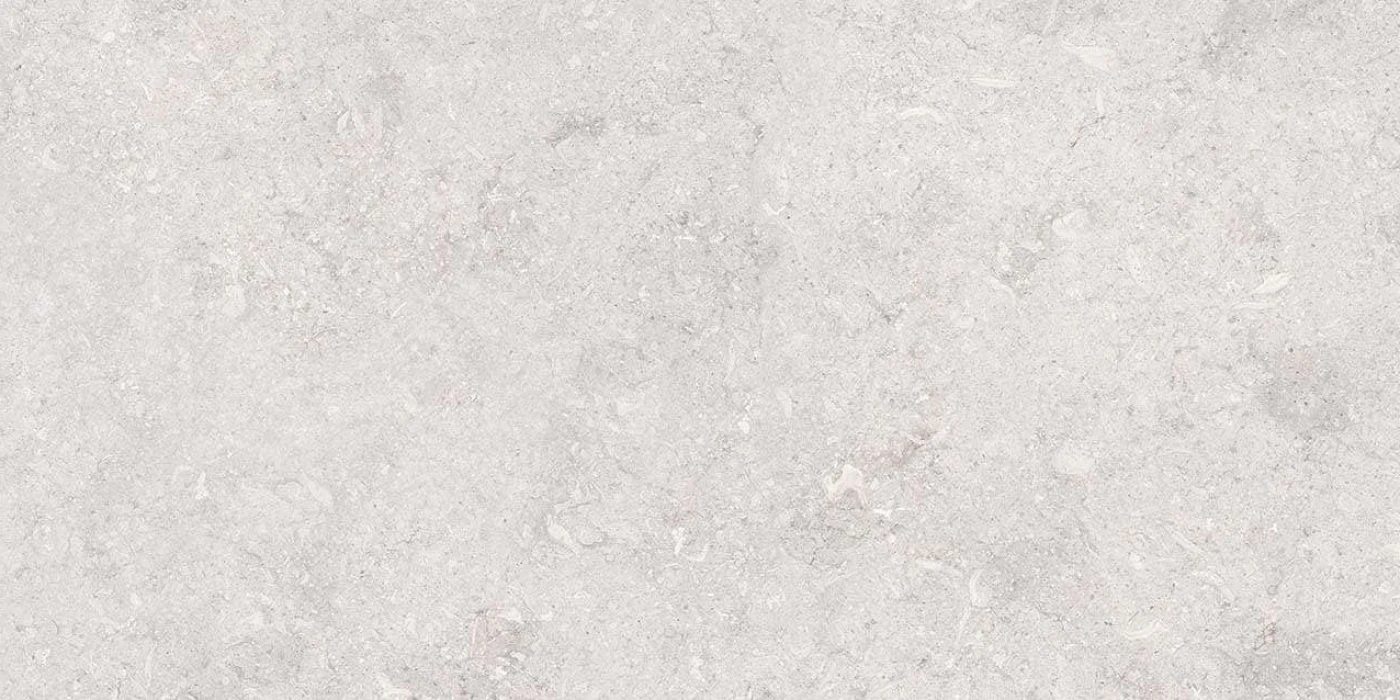 VI3 GM81601