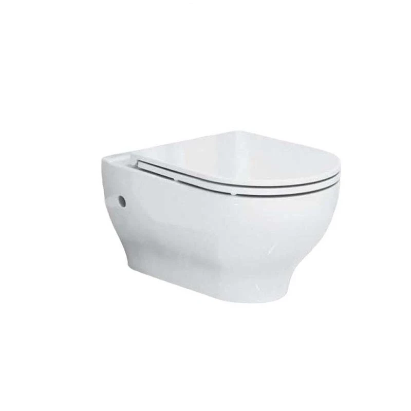 Bồn cầu treo tường Hảo Cảnh HC-CT02 nắp êm