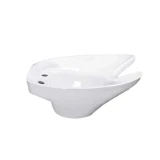 Chậu gội đầu Hảo Cảnh C523 1