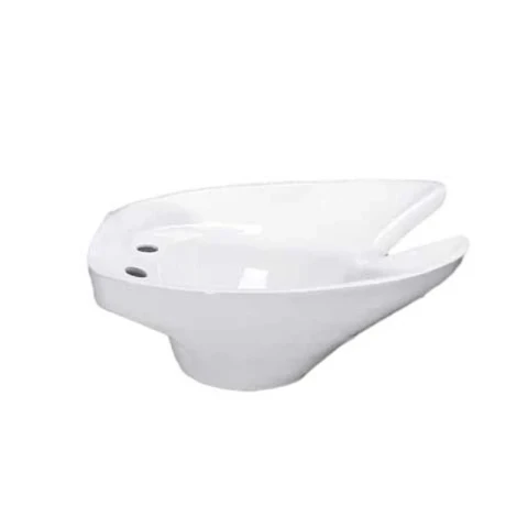 Ảnh Chậu gội đầu Hảo Cảnh C523 1