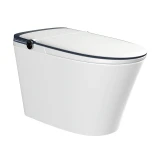 Bồn cầu thông minh Hegii R11 1