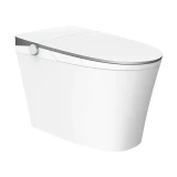 Bồn cầu thông minh Hegii R9 1