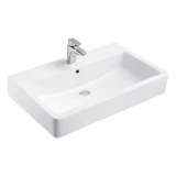 Chậu rửa dương bàn Hegii H145-080 1