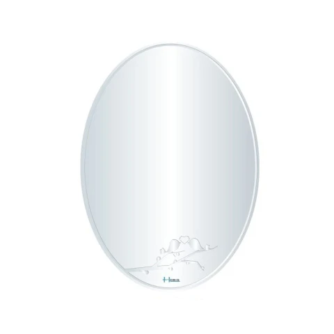 Ảnh Gương nhà tắm Hobig HBS5-018 1