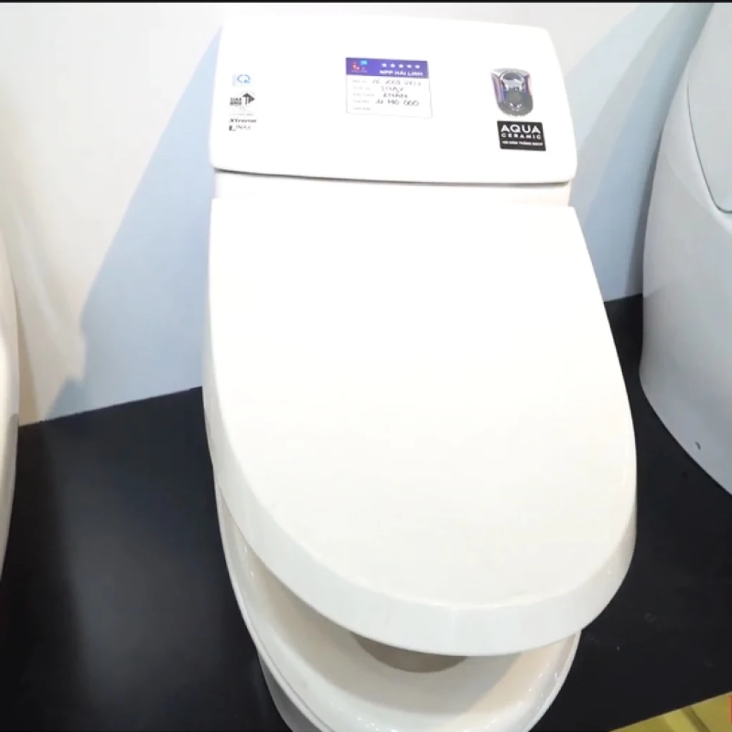 bon cau 1 khoi inax ac 1008vrn1