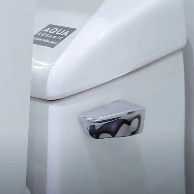 Ảnh Bồn cầu 1 khối Inax AC-1017VRN 2