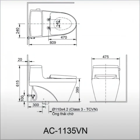 Ảnh Bồn cầu 1 khối Inax AC-1135VN 4