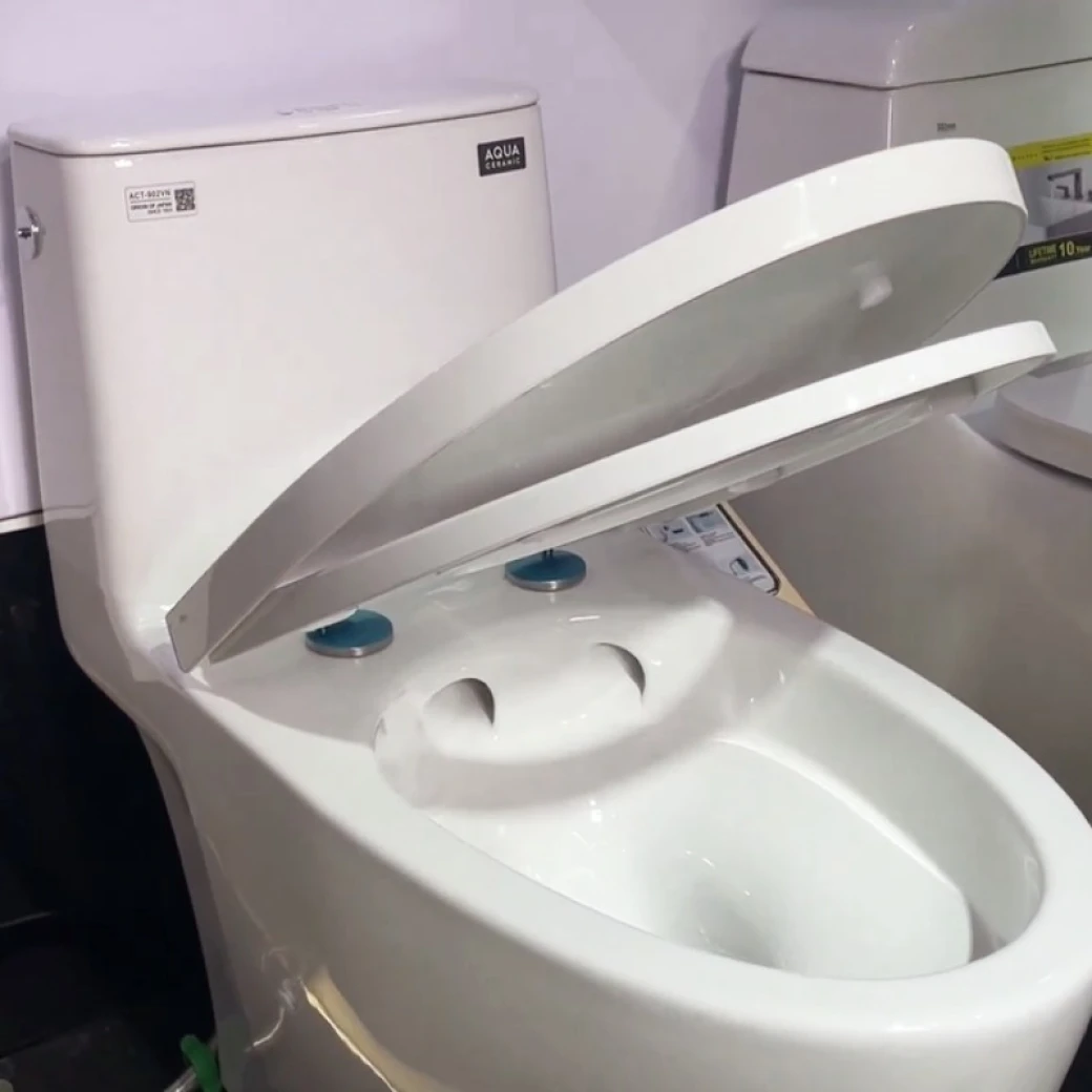 bon-cau-1-khoi-inax-act-902VN