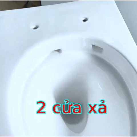 Ảnh Bồn cầu âm tường Inax AC-952VN 3
