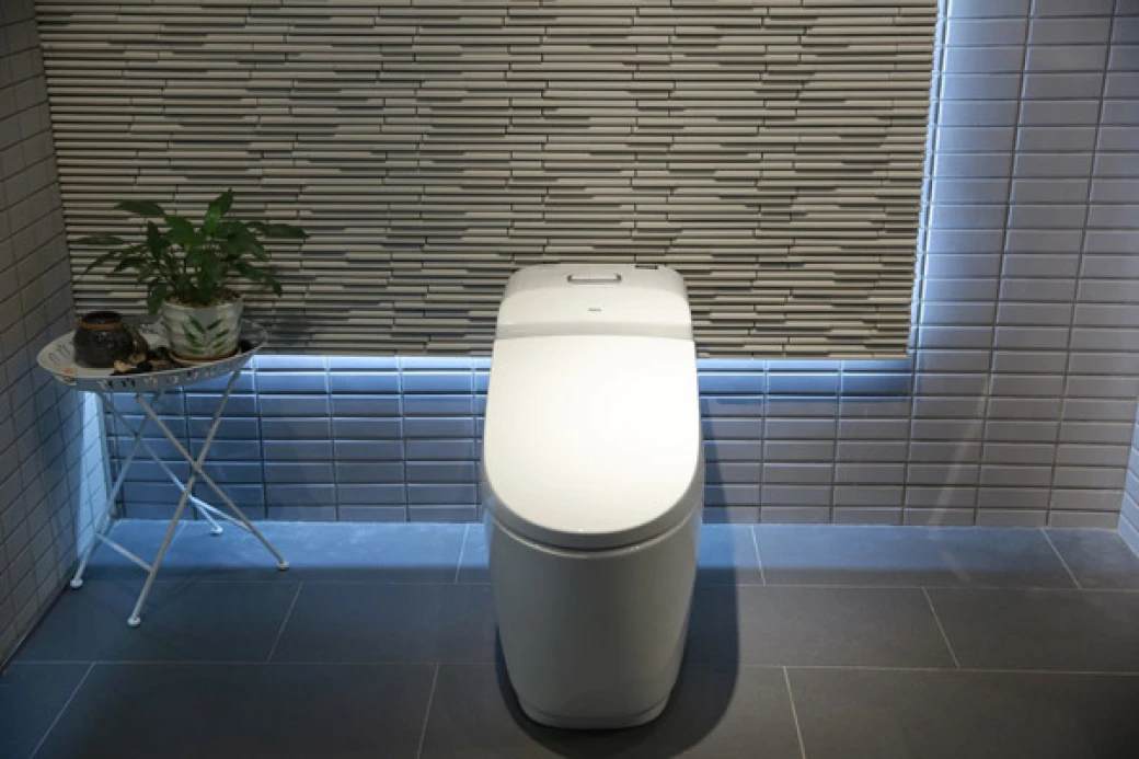 bon cau inax ac 1032v dep