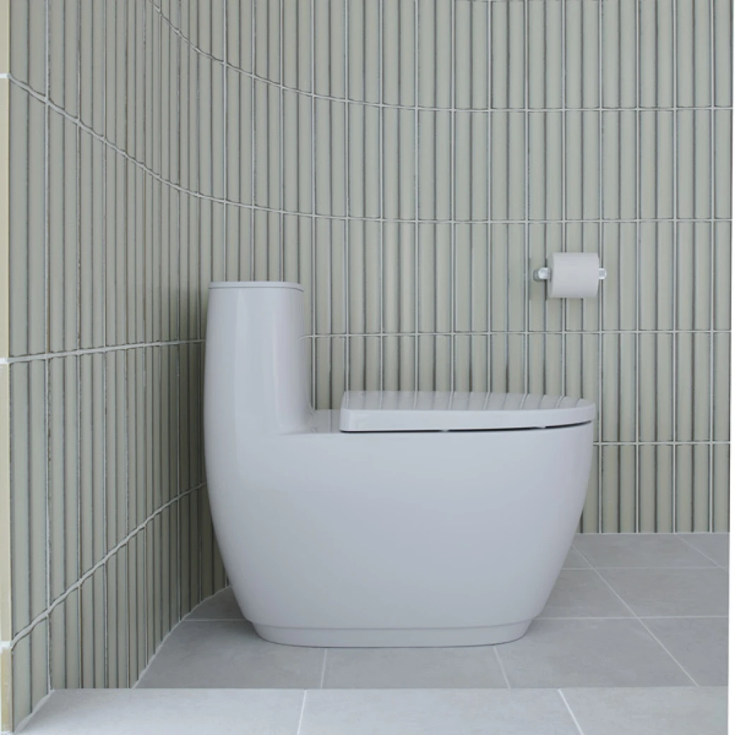 Bồn cầu AC-1052VN