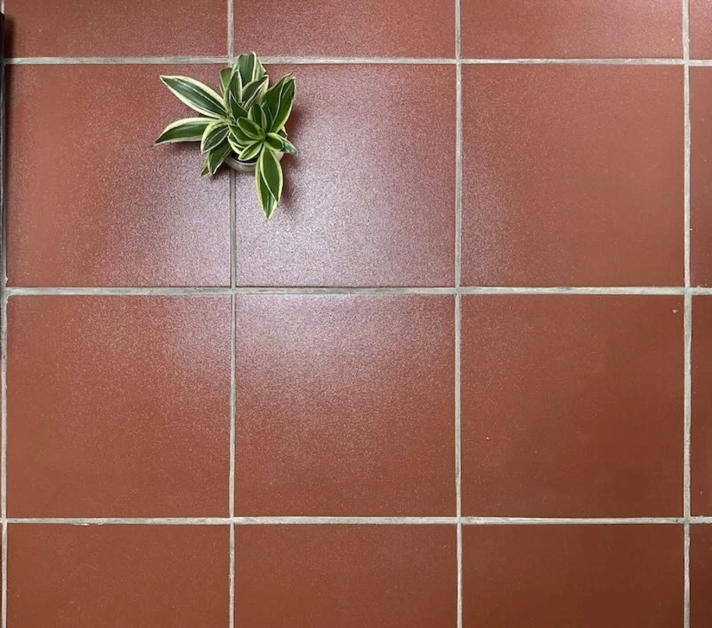 mau gach lat nen mau do cam phong be gai