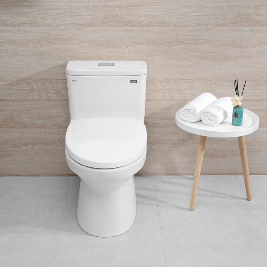 Phong mau Bon cau 1 khoi INAX AC-969VN