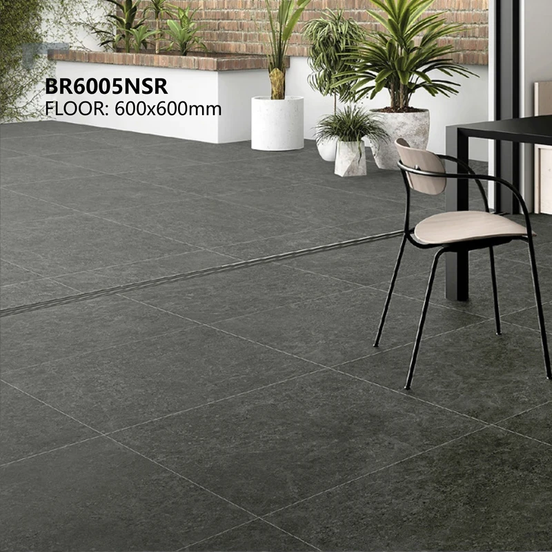 Ảnh Gạch Malaysia HLM66088 2