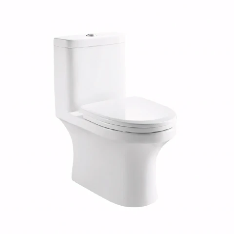 Bồn cầu 1 khối Moen SW3116C1