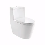 Bồn cầu 1 khối Moen SW3182C1 1