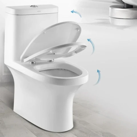 Ảnh Bồn cầu 1 khối Moen SW3112C1 2