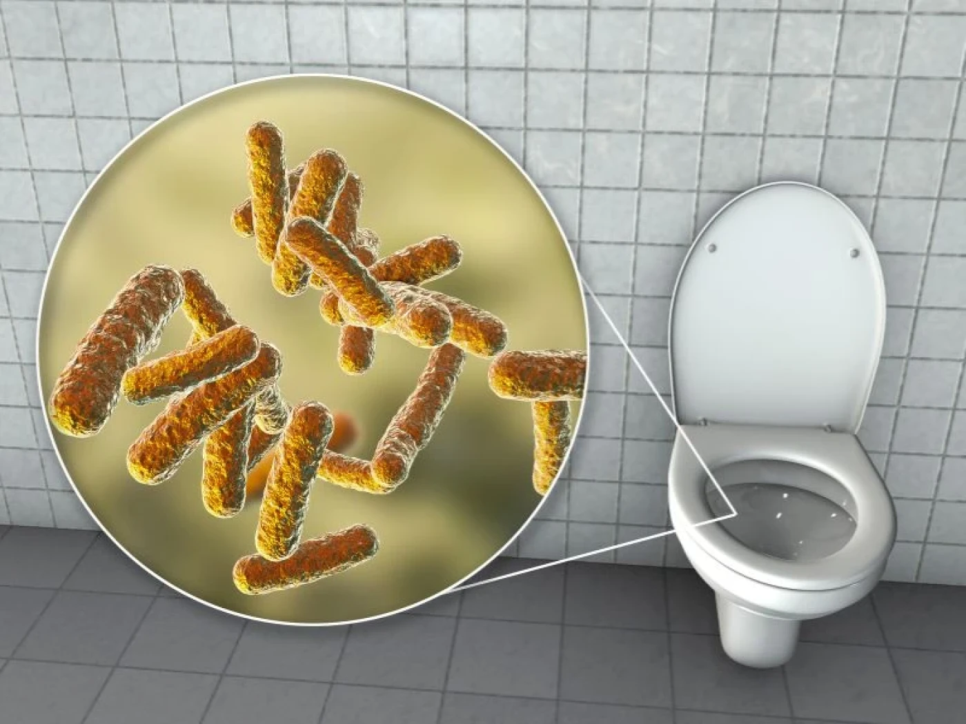 vi khuan gay hai tren bon cau