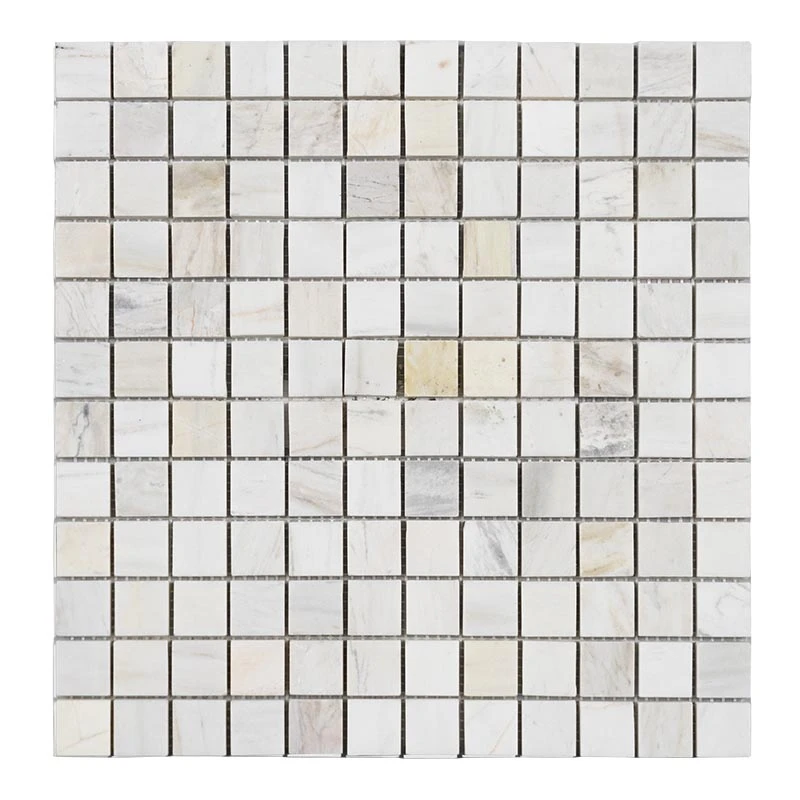Gạch Mosaic 25PV001.2