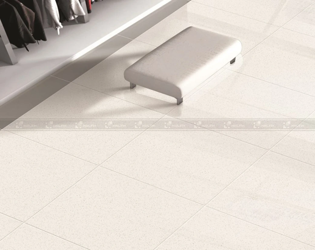 Phong mau gach taicera p67005n