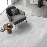 Gạch Viglacera Platinum PH66-03 1