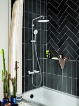 Sen tắm cây Moen 58400/2380/M22081 2