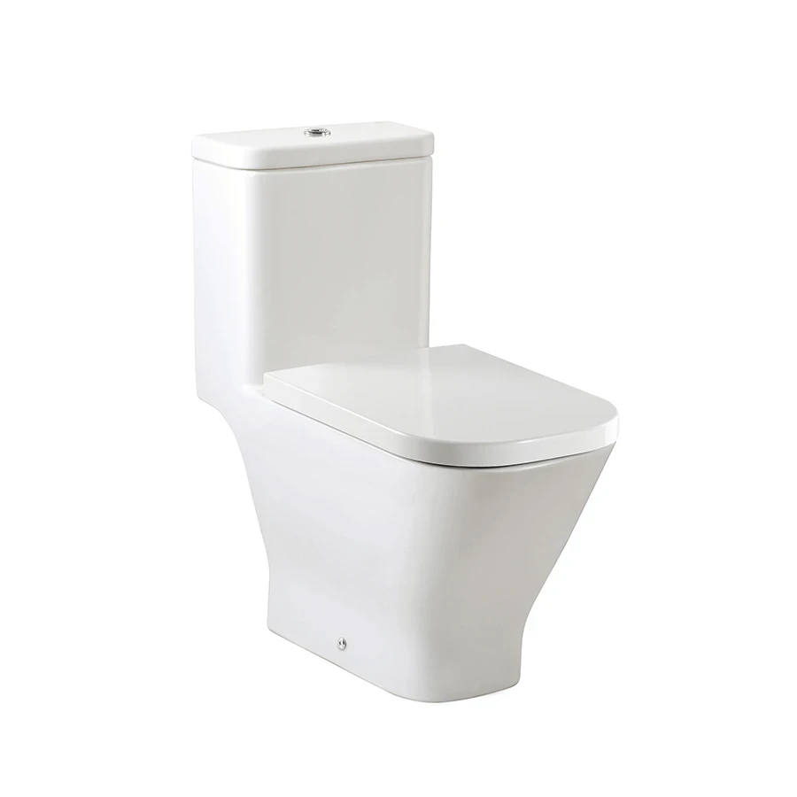Ảnh Bồn cầu 1 khối Roca A349477000 1