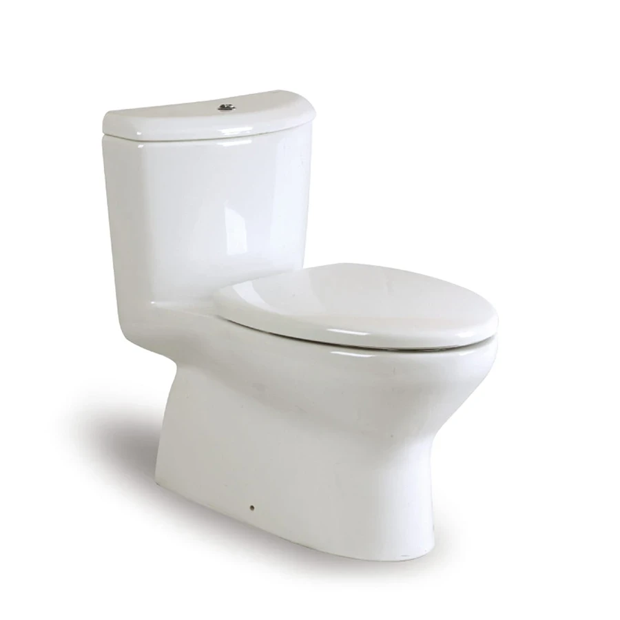 Ảnh Bồn cầu 1 khối Roca Z34945E000 1