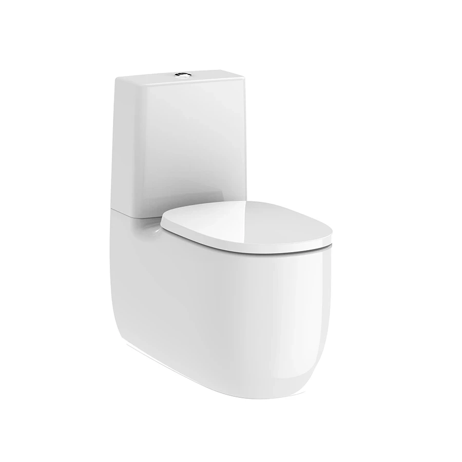 Ảnh Bồn cầu 2 khối Roca A3420B9000 1