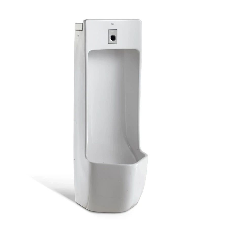 Ảnh Bồn tiểu nam đặt sàn Roca A35960E000 1