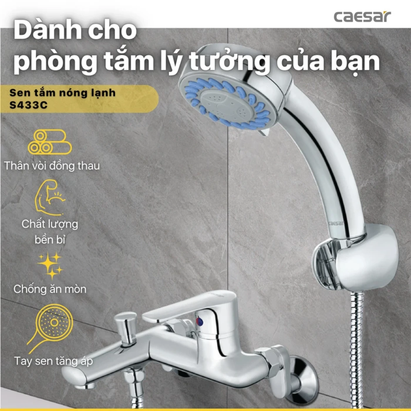 sen tam caesar s433c chat luong