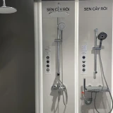 Sen tắm cây JOMOO 36313-015/1B-I011 2