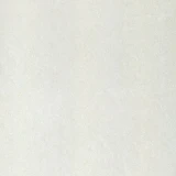 Gạch Taicera P67702N 1
