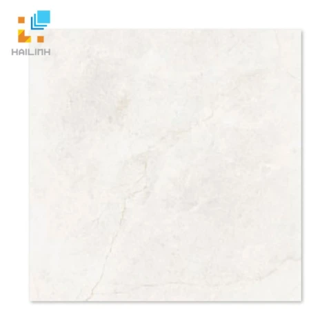 Ảnh Gạch Taicera GP68845 1