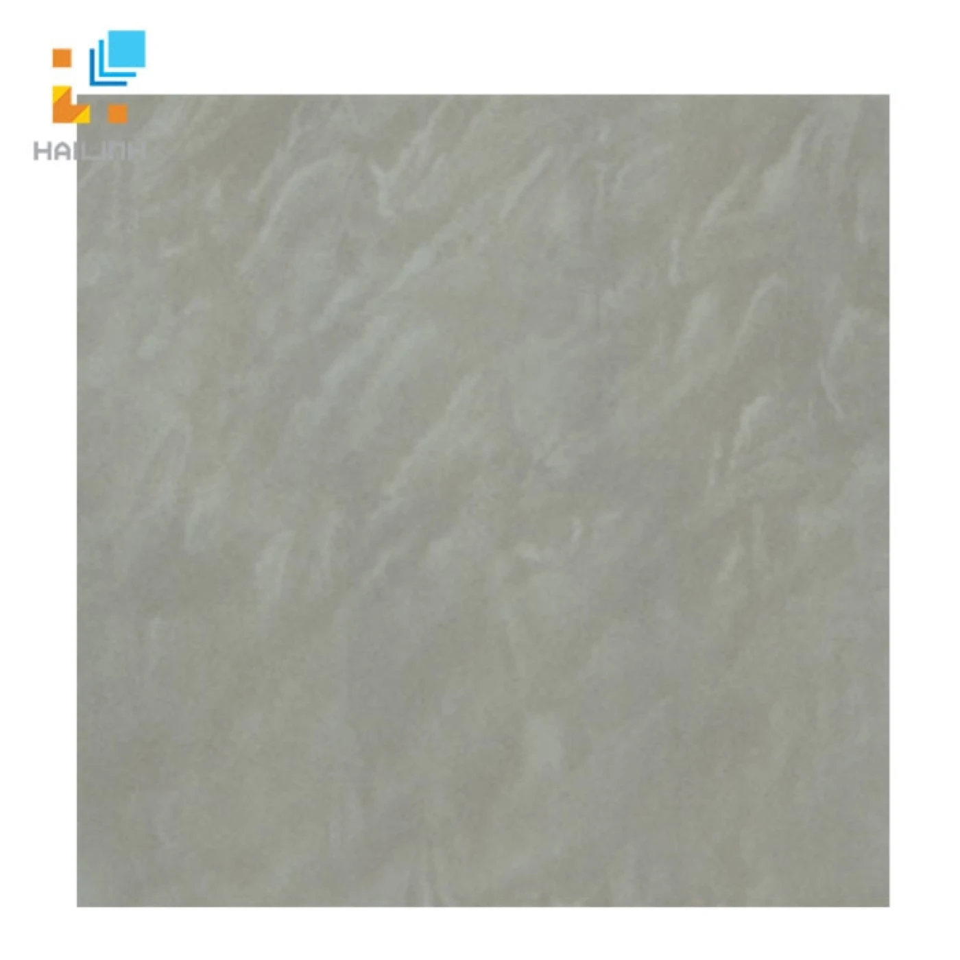 Gạch Taicera P67048N