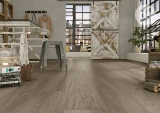 Gạch Tây Ban Nha HL2109 2
