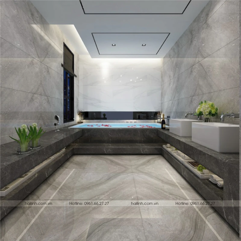 Ảnh Gạch Tây Ban Nha HL61282 1