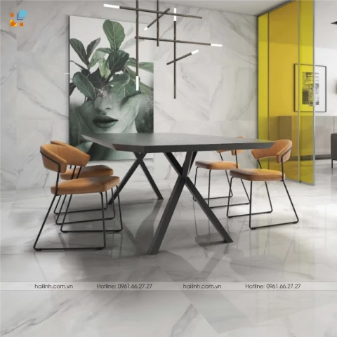 Ảnh Gạch Tây Ban Nha HL9987 2