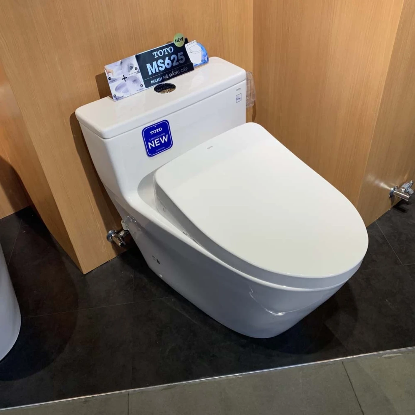 bon cau toto ms625cdw12 xw htt1